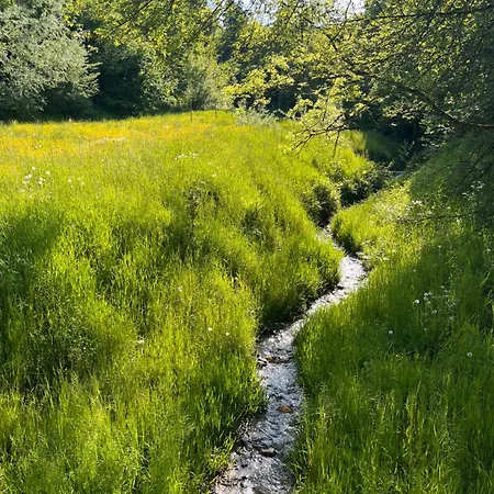 Apartamento Stieglschuster, Middle Of 5-skiarea & Mountain View 360 Irdning