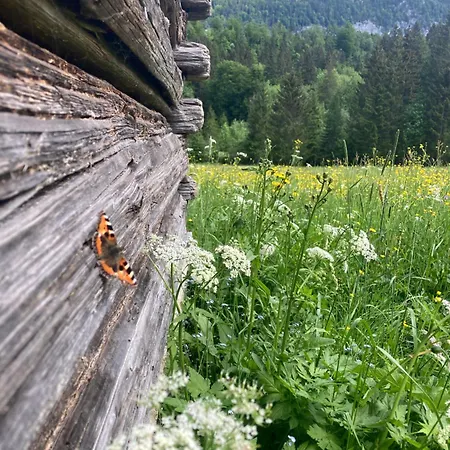 Stieglschuster, Middle Of 5-skiarea & Mountain View 360 Irdning