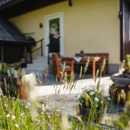 Stieglschuster, Middle Of 5-skiarea & Mountain View 360 * Irdning