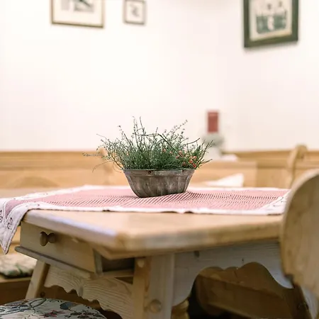Apartment Stieglschuster Irdning