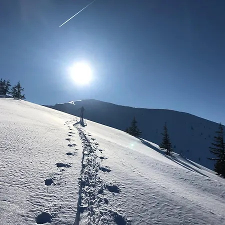 شقة Stieglschuster, Middle Of 5-skiarea & Mountain View 360 اردننغ