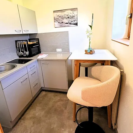 Stieglschuster, Middle Of 5-skiarea & Mountain View 360 Apartamento