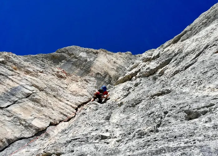 Appartamento Stieglschuster, Middle Of 5-skiarea & Mountain View 360