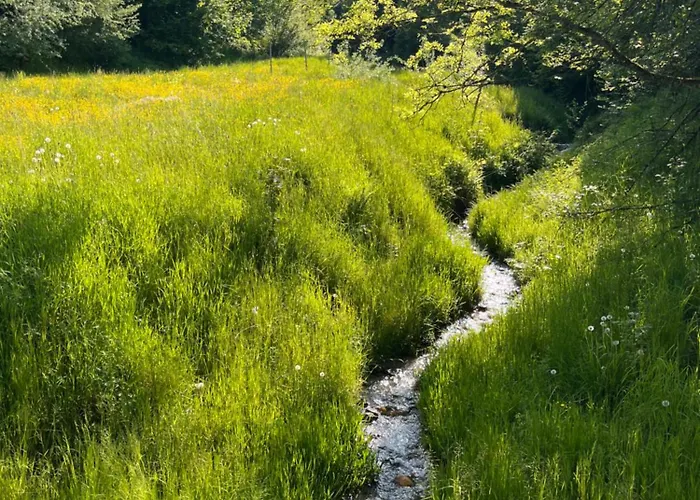 Appartamento Stieglschuster, Middle Of 5-skiarea & Mountain View 360 Irdning