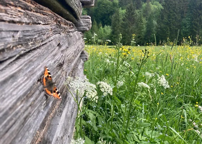 Stieglschuster, Middle Of 5-skiarea & Mountain View 360 Irdning