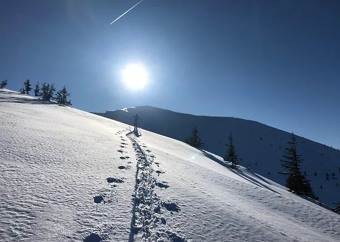 Appartamento Stieglschuster, Middle Of 5-skiarea & Mountain View 360 Irdning